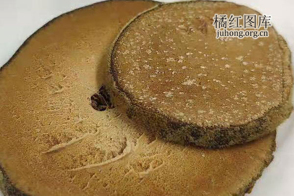 橘红片的白点