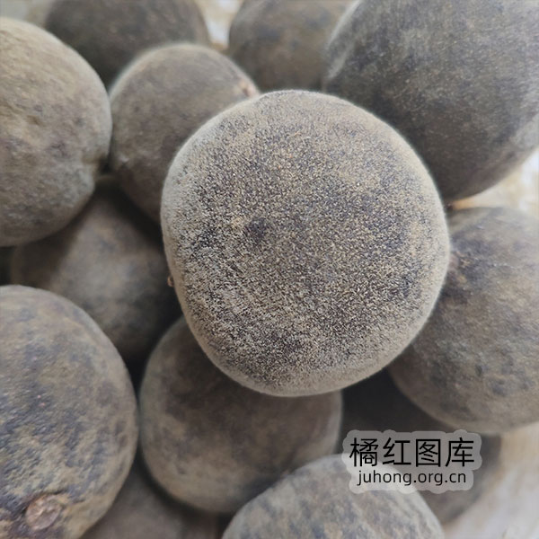 橘红果